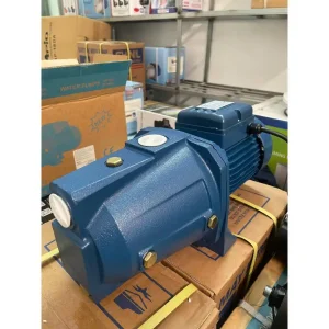 Máy Bơm Nước Con Lợn MBY CAM-100 (750W)